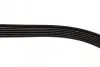 Ремінь генератора VW LT 2.8TDI 116KW (+AC) (6PK2155) BOSCH 1 987 946 041 (фото 4)