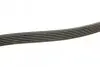 Ремінь генератора VW T4 2.5/2.5TDI 90-03 (6PK2060) BOSCH 1 987 946 042 (фото 3)