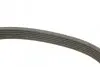 Ремень п-клиновой 6pk1600 BOSCH 1 987 946 060 (фото 3)
