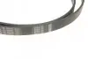 Ремень генератора BMW 5 (E34)/7 (E32/E38)/8 (E31) M60 92-/Land Rover Discovery 2.5TDI 90-98(7PK1605) BOSCH 1 987 946 091 (фото 4)