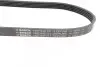 Ремінь генератора Ford Focus 1.4/1.6i 03- (6PK1059+5PK868) К-кт BOSCH 1 987 946 196 (фото 3)