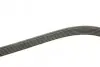 Ремінь генератора Audi A4/A6/A8/Q7 2.7/3.0TDI 04- (6PK2490) BOSCH 1 987 946 246 (фото 2)