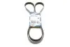 Ремінь генератора Ford Connect 1.8 TDCI 02-13 (6PK1720) BOSCH 1 987 946 295 (фото 1)