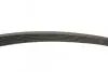 Ремінь генератора Ford Connect 1.8 TDCI 02-13 (6PK1720) BOSCH 1 987 946 295 (фото 3)