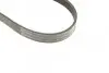Ремінь генератора Ford Connect 1.8 TDCI 02-13 (6PK1720) BOSCH 1 987 946 295 (фото 4)