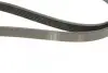 Ремінь генератора Ford Connect 1.8 TDCI 02-13 (6PK1720) BOSCH 1 987 946 295 (фото 5)