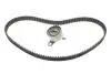 Комплект ГРМ Toyota Corolla 1.6 92-00/Avensis 1.6 97-00 (21x117z) 1987946323