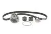 Комплект ГРМ + помпа Opel Frontera/Vectra B/Omega B 2.2 i 95-03 (24x171z) BOSCH 1 987 946 901 (фото 1)