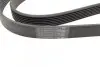 Ремень генератора Toyota Rav 4 2.0 4WD 00-13 (7PK1593) BOSCH 1 987 947 561 (фото 2)