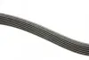Ремінь генератора Renault Kangoo 1.9D 97-/Mazda 3/6/CX-5 2.2D 12-/Fiat Scudo 2.0 00-06 (6PK1190) BOSCH 1 987 947 818 (фото 3)