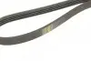 Ремень генератора Citroen Jumper/Peugeot Boxer 2.5TD 94-02/Hyundai Santa Fe 2.0-2.4 01-06 (4PK945) BOSCH 1 987 947 846 (фото 4)