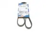 Ремінь генератора Renault Mascott 99-05/Iveco Daily 99-06/Mazda 323 89-96/MX-3 93-98 (4PK1015) BOSCH 1 987 947 860 (фото 1)