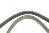 Ремінь генератора Renault Mascott 99-05/Iveco Daily 99-06/Mazda 323 89-96/MX-3 93-98 (4PK1015) BOSCH 1 987 947 860 (фото 4)