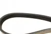 Ремінь генератора Honda Civic VI/Nissan Primera/Citroen Berlingo 1.4-1.6 16V 94-05 (4PK800) BOSCH 1 987 947 893 (фото 3)