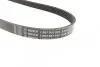 Ремінь генератора Mazda 626 1.8-2.2 86-96/Opel Kadett 1.6 86-94/Ford Escort 1.8D 88-95 (5PK1010) BOSCH 1 987 947 921 (фото 2)