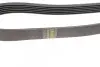 Ремінь генератора MB W124/S124 M104 -98 (6PK2325) BOSCH 1 987 947 996 (фото 4)