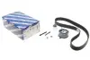 Комплект ГРМ VW Caddy III 1.9TDI/2.0SDI 04-10/VW T5 1.9TDI 03-09 (120x30) BOSCH 1 987 948 253 (фото 1)