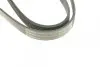 Ремінь генератора Audi A6 2.5TDI 94-97/Ford Fiesta 1.4TDCi 01-12/Peugeot Partner 1.6HDi 05- (6PK1340) BOSCH 1 987 948 316 (фото 5)
