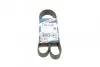 Ремінь генератора Renault Master/Opel Movano 2.5 dCi 03- (-AC) (7PK1148) BOSCH 1 987 948 321 (фото 1)