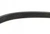 Ремінь генератора Peugeot Expert/Citroen Jumpy 2.0HDi 07-/Ford Focus/Kuga 2.0TDCi 04-12 (6PK1215) BOSCH 1 987 948 391 (фото 3)