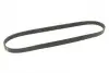 Ремень генератора Fiat Tempra 1.9TD 90-96 (5PK900) BOSCH 1 987 948 398 (фото 2)