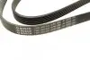 Ремінь генератора Ford Focus 1.8 TDCi 05-12/Skoda Octavia 1.4 i 99-01 (6PK1520) BOSCH 1 987 948 425 (фото 3)