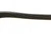 Ремінь генератора Ford Focus 1.8 TDCi 05-12/Skoda Octavia 1.4 i 99-01 (6PK1520) BOSCH 1 987 948 425 (фото 4)