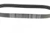Ремінь генератора Citroen Berlingo/Fiat Ducato/Peugeot Boxer/Expert 1.9 D/TD 96-03 (6PK730) BOSCH 1 987 948 428 (фото 2)