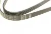 Ремень генератора VW Passat B5/Audi A4/A6 1.9TDI 98-05/Skoda Superb 1.9/2.0TDI 01-08 (5PK1432) BOSCH 1 987 948 491 (фото 3)