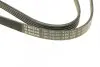 Ремень генератора VW Passat B5/Audi A4/A6 1.9TDI 98-05/Skoda Superb 1.9/2.0TDI 01-08 (5PK1432) BOSCH 1 987 948 491 (фото 4)