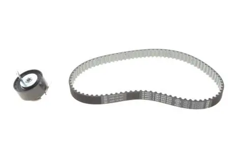 Комплект ГРМ Citroen C5 III/C6/Peugeot 407/607 2.7 HDi 04- (85x20) BOSCH 1987948950
