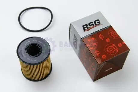 Масляный фильтр Scudo/Jumpy/Expert 2.0MJTD/HDI/2.0i 07> BSG BSG 30-140-006