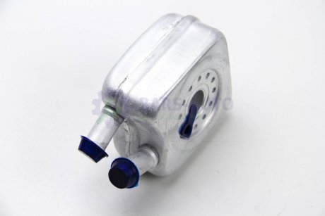 Радиатор масла 2.5TDI LT 96-06/T4 98-03/Crafter 06- (под Фильтр) BSG BSG 90-506-003