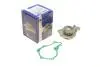 Помпа води Citroen C1/C2/C3/Nemo/Ford Fiesta/Peugeot 1007/206/307 1.4HDi/TDCI 02- BUGATTI PA10013 (фото 1)