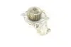 Помпа води Citroen C1/C2/C3/Nemo/Ford Fiesta/Peugeot 1007/206/307 1.4HDi/TDCI 02- BUGATTI PA10013 (фото 3)