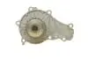 Помпа води Citroen C1/C2/C3/Nemo/Ford Fiesta/Peugeot 1007/206/307 1.4HDi/TDCI 02- BUGATTI PA10013 (фото 5)