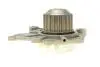 Помпа води Hyundai Tucson/Santa Fe/i30/Elantra/Kia Sportage/Cee\'d 2.0-2.2CRDi 05- (R/B)(6 лоп) BUGATTI PA10121 (фото 4)