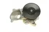 Насос воды BMW 3 (E46/E90)/5 (E60) 2.0-3.0d 01-13 (M47/M57) BUGATTI PA10135 (фото 6)