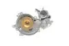 Помпа води BMW (E53) X5 4.4i/4.8is/5 (E60-61) 545i/6 (E63-64) 645ci/7 (E65-67) 01-10 (R/B) (8 лоп.) BUGATTI PA10206 (фото 2)
