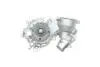 Помпа води BMW (E53) X5 4.4i/4.8is/5 (E60-61) 545i/6 (E63-64) 645ci/7 (E65-67) 01-10 (R/B) (8 лоп.) BUGATTI PA10206 (фото 5)