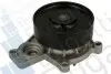 Помпа води BMW X1 (F48) 14- B47 C20 BUGATTI PA10266 (фото 2)