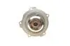 Насос воды Audi A4/A6/Skoda Felicia/VW Golf/Caddy/Passat/Polo 1.9D/TDI/SDI 95- (R/B)(6лоп) BUGATTI PA5108 (фото 2)