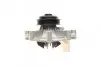 Насос воды Citroen Jumper/Peugeot Boxer 2.5D/TD/TDI/4x4 96-02 (B/B) (8 лоп) BUGATTI PA5508 (фото 8)