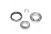 Подшипник ступицы CITROEN, PEUGEOT задн.мост лев. (COMPLEX) COMPLEX AUTOMOTIVE BEARINGS Sp.z.o.o. COMPLEX AUTOMOTIVE BEARINGS Sp.z.o.o. CX036-L (фото 1)