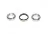Подшипник ступицы FORD передн. мост (COMPLEX) COMPLEX AUTOMOTIVE BEARINGS Sp.z.o.o. COMPLEX AUTOMOTIVE BEARINGS Sp.z.o.o. CX043 (фото 1)