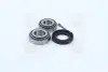 Подшипник ступицы DAEWOO MATIZ задн. мост (COMPLEX) COMPLEX AUTOMOTIVE BEARINGS Sp.z.o.o. COMPLEX AUTOMOTIVE BEARINGS Sp.z.o.o. CX422 (фото 4)
