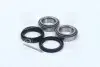 Подшипник ступицы DAEWOO MATIZ передн. мост (COMPLEX) COMPLEX AUTOMOTIVE BEARINGS Sp.z.o.o. COMPLEX AUTOMOTIVE BEARINGS Sp.z.o.o. CX423 (фото 1)