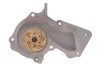 Комплект ГРМ + помпа Ford Mondeo 1.6Ti-VCT 07-14/Focus 1.4/1.6i 04-12/Fusion 1.2-1.6 02-12 (22x117z) CONTINENTAL CT881WP2 (фото 10)