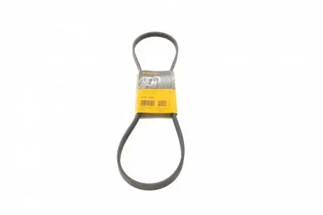 Ремінь генератора Haval H5 2.4 10-/Toyota Land Cruiser Prado 2.7 95-02/Hiace 98-06/Fiat/Lancia/Nissa CONTINENTAL 4PK1100