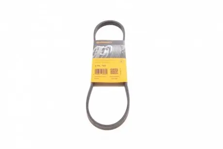 Ремень генератора Fiat Ducato 1.9D/TD 98-02/2.0JTD 01- (PS) CONTINENTAL 4PK755